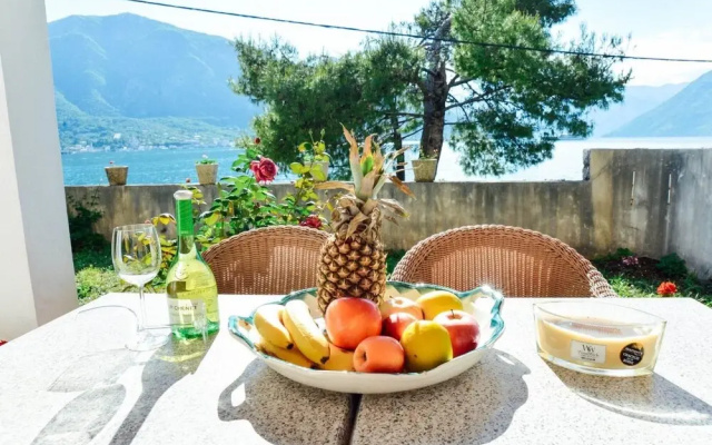 Waterfront Apartment Petrovina