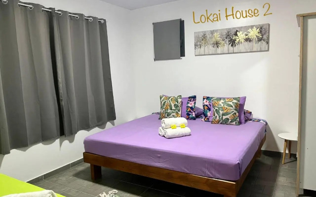 Lokai house