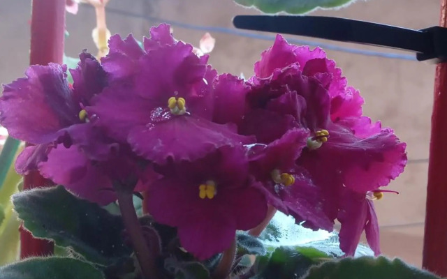 Se hospede num Cantinho Gourmet