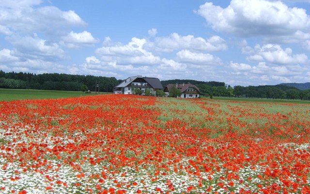 Pension Gallnhof