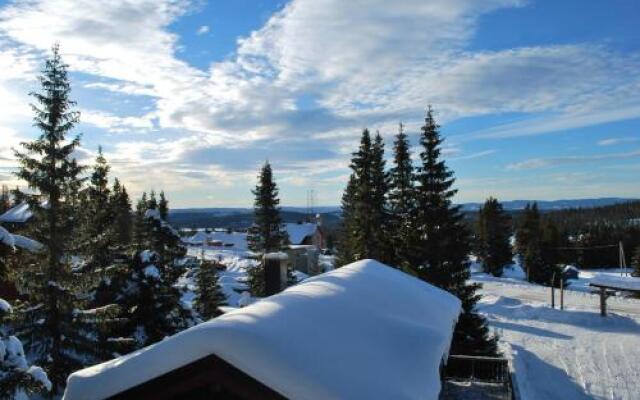 Nordseter Fjellpark, Hyttegrend