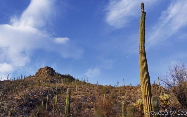 Loews Ventana Canyon Resort