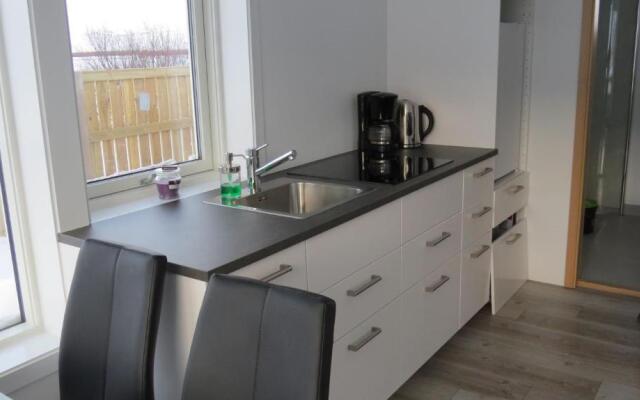 Hvammur 2 Bjarg with private hot tub