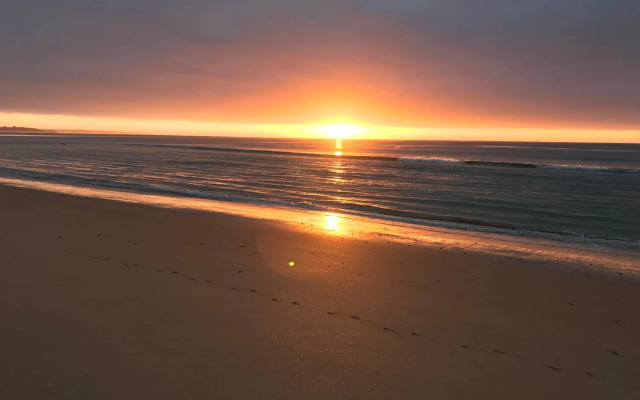 CASA BEACHCOMBER Le jardin des Arts