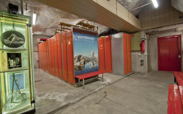 Haus Bodmen C Apartment Edelweiss