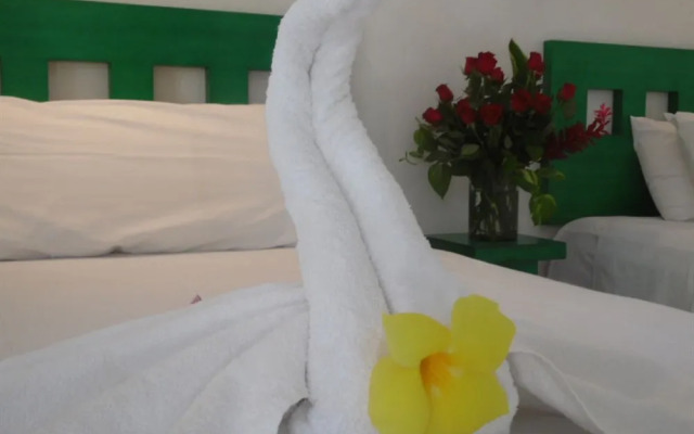 Tropical Casablanca Party Zone