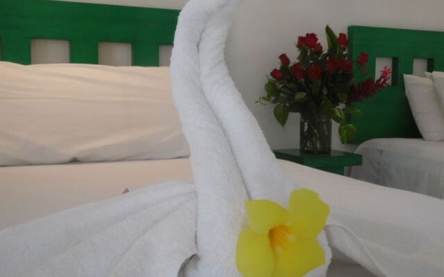 Tropical Casablanca Party Zone