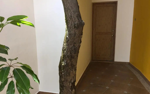 Casa Cielo