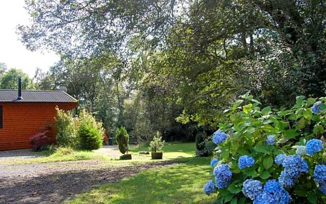 Cosy Rowan woodland lodge no3