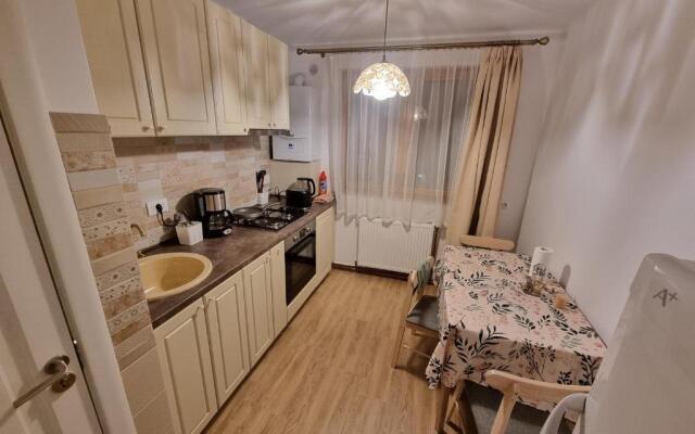 Apartament 29 Bucovina