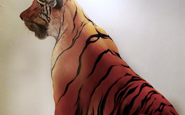 Tiger Hostel Sydney