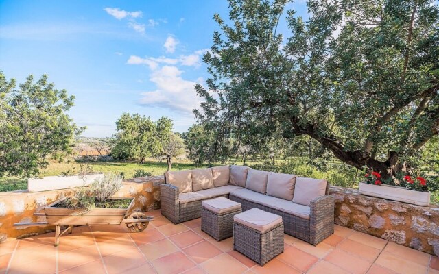 NEW 2020 - Empaltada