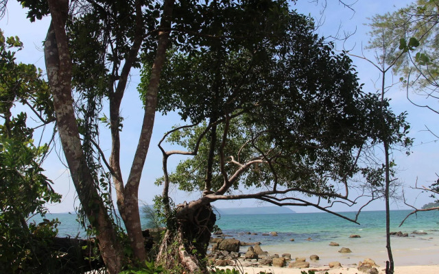 Nature Beach