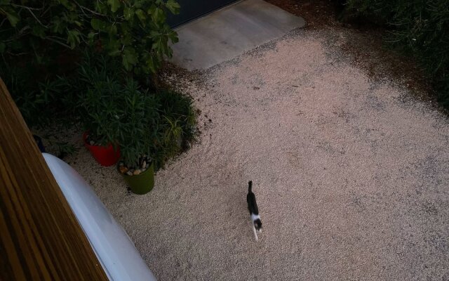 Tipi Lounge and breakfast