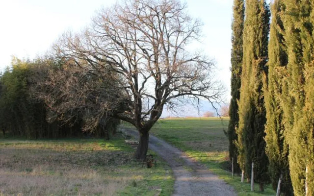 Casale Luna Tra Gli Ulivi
