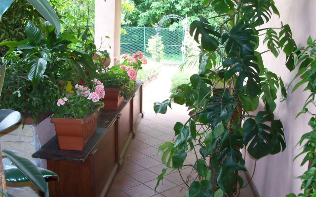 B&B Il Ciliegio Fiorito