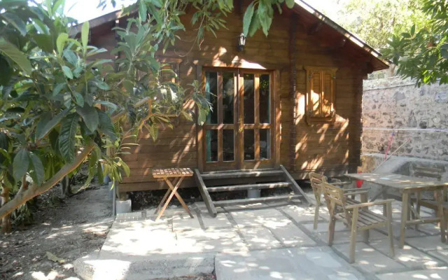 Camping Tropical