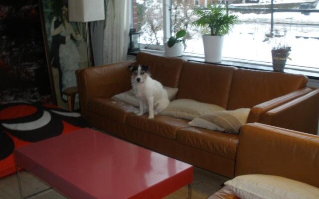Hannes Home