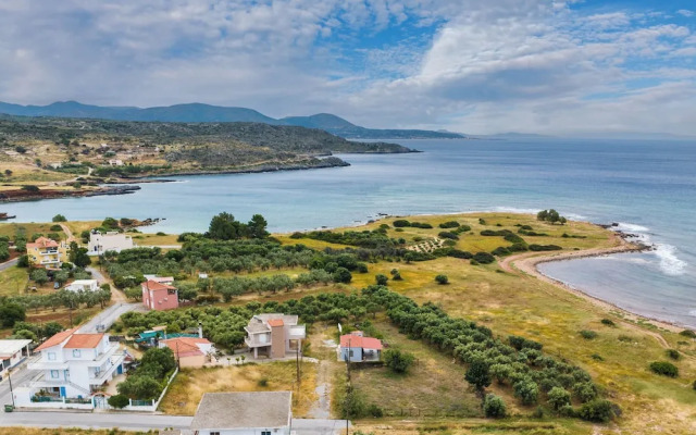 Laconia Domus - Plytra