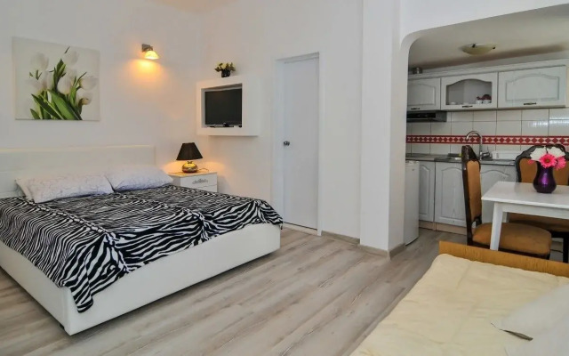 Apartments Stankovic
