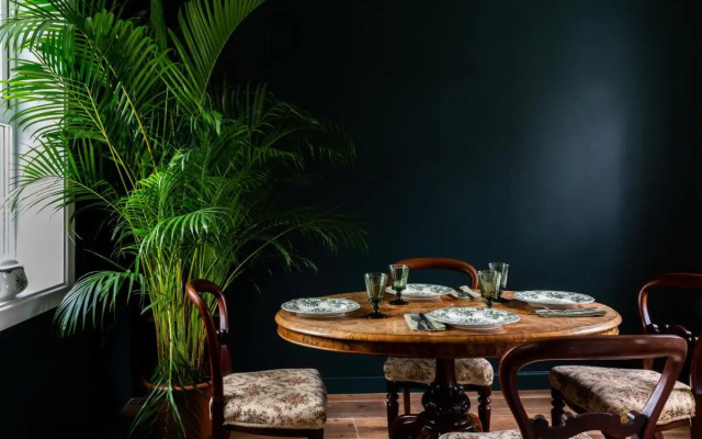 The Forest at Mount Congreve Gardens