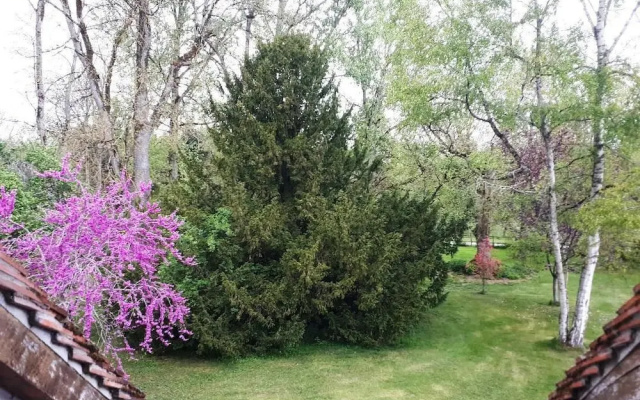 Le Parc des Aubiers