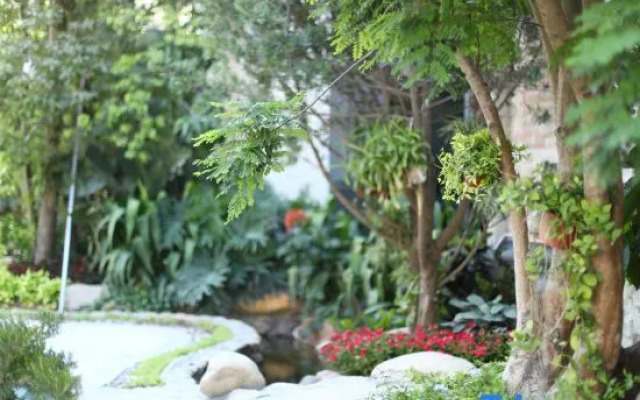 White Dolphins Villa