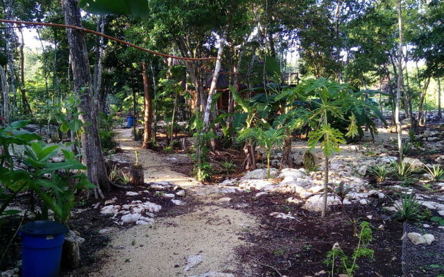 Quintana Roo National Park Campground & Hiking