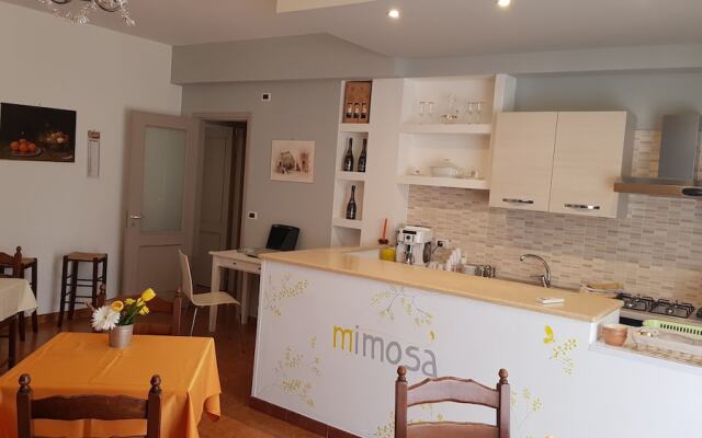 B&B Mimosa