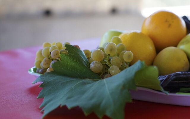 Holiday house Senka1 - pure nature & serenity: Cove Tudorovica (Vela Luka), Island Korcula