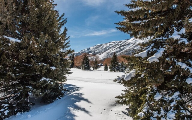 Park Avenue Condominiums