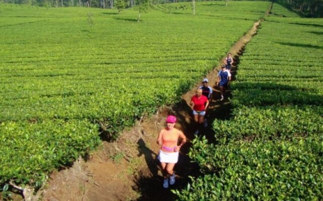 Bamboo Village by Villa