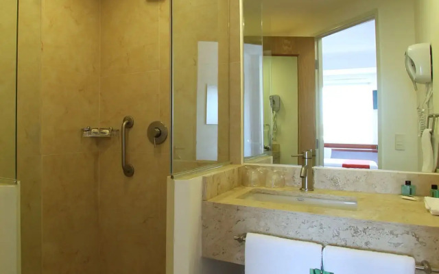 One Querétaro Centro Sur