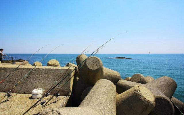 Pohang View 141 Pension