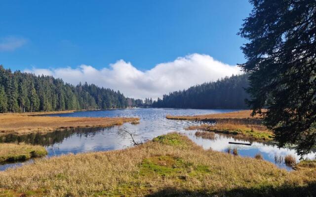 Wohlfuhlappartement Wildgatter