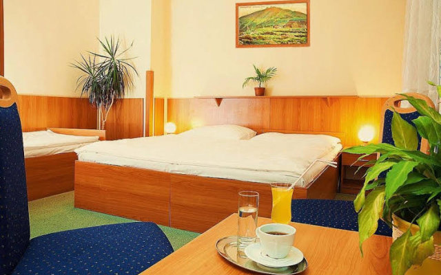 Parkhotel Harrachov