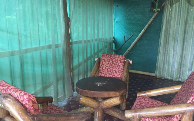 Isla Violin Eco Lodge