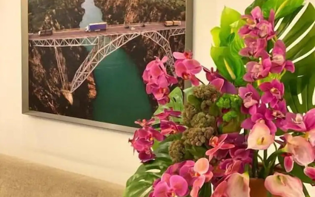 Belvedere Paulo Afonso