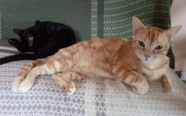 Hostel Ateliê da Feiticeira