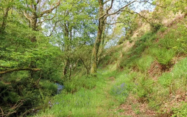 Glyn Yr Efail