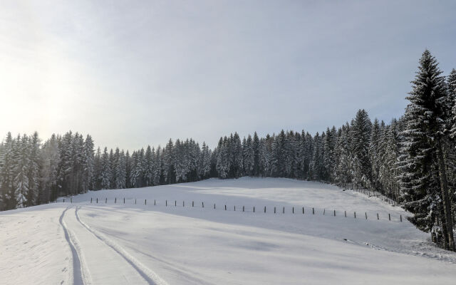 Holiday Home Schönhart