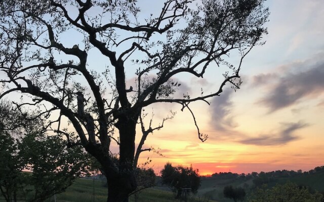 Room-the Girasole in Country House With