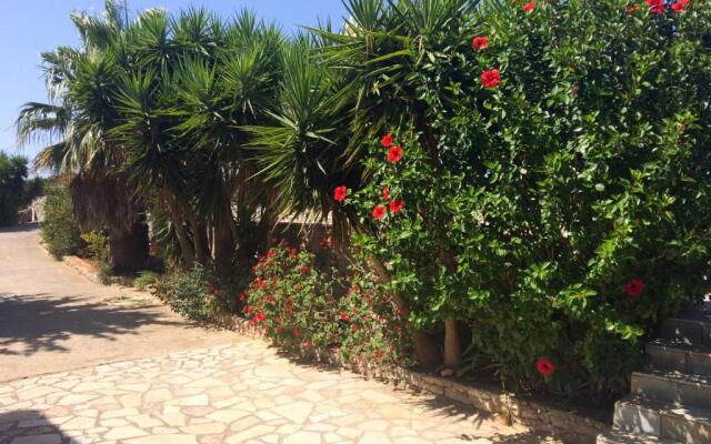 Green Parrot Apartments