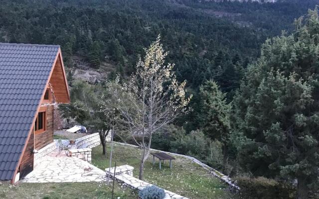 Chalet in the Forest