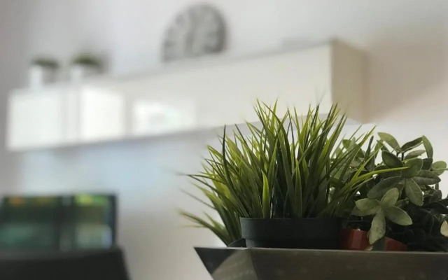 Planta baja reformada - 152B