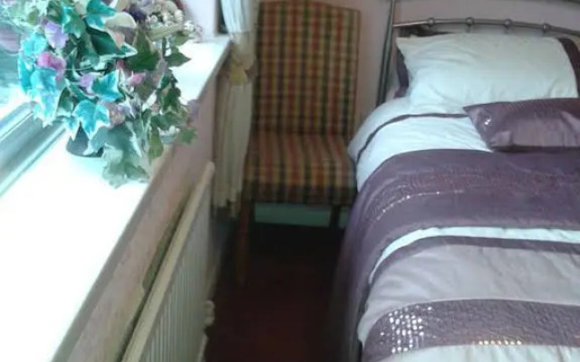 Steve's Place