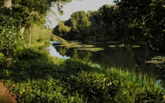 T2 au calme, entre mer et pinède.