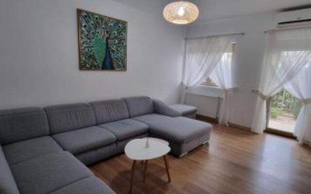 Sasu Apartment