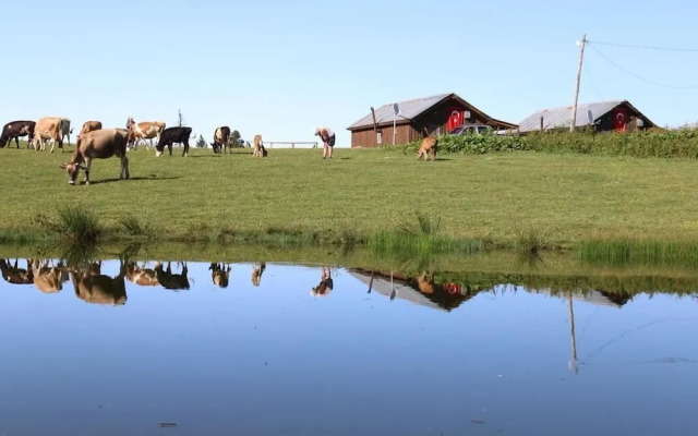 Badara Kafe & Pansiyon