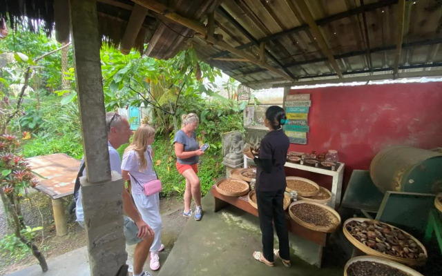 Badini Homestay Pemuteran Bali